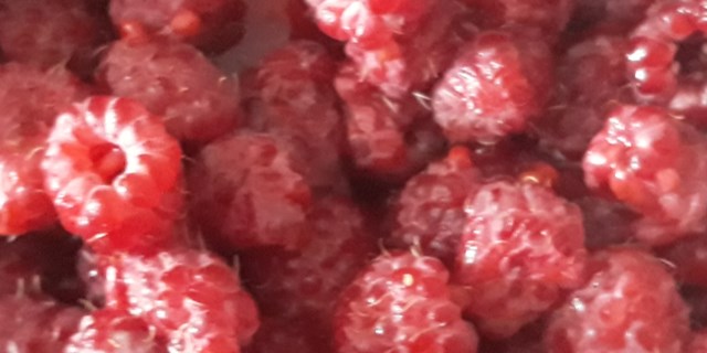 24.08.2019 Самара. Витамины, спорт, положительный результат!