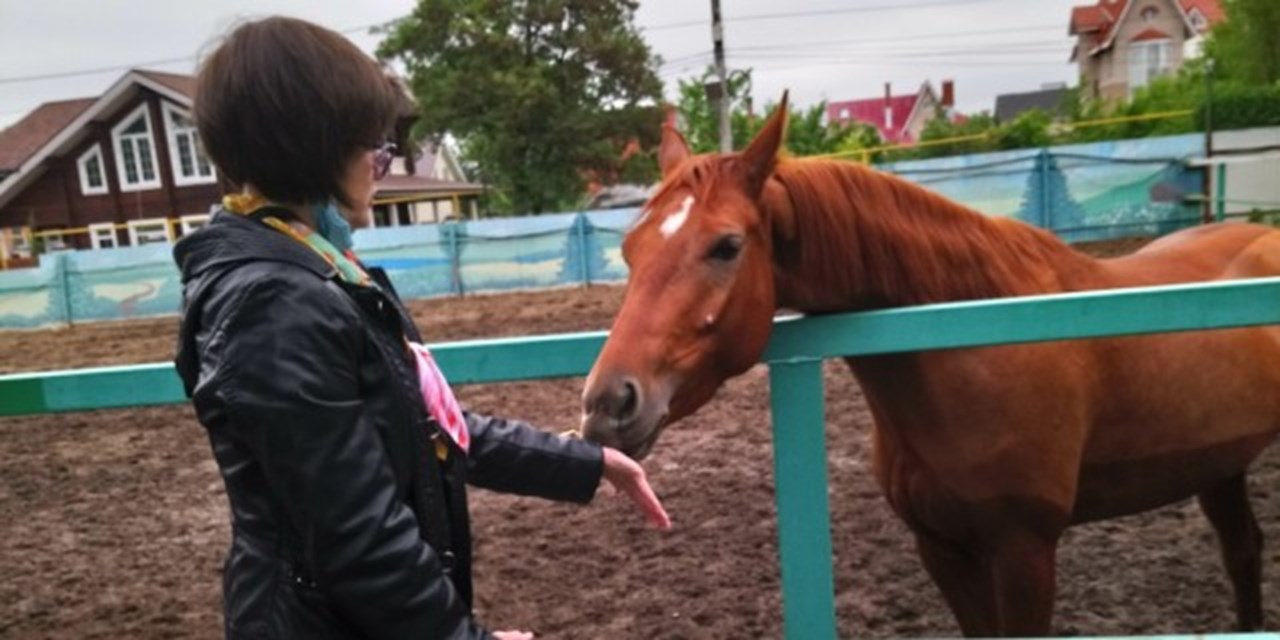 18.05.2024 Самара. Иппотерапия приятна и полезна
